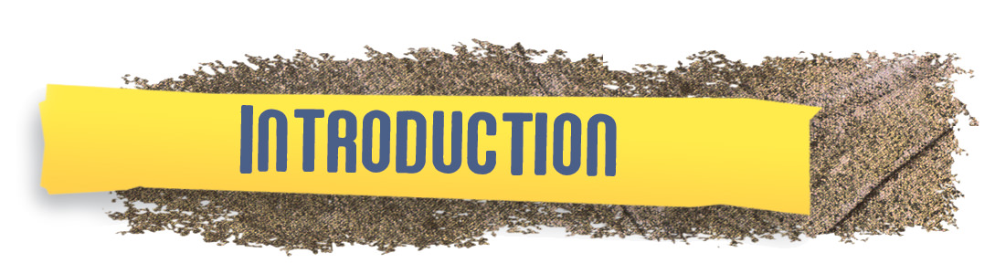Image of In Depth Introduction
