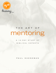 Image of Book The Artof Mentoring Ebook