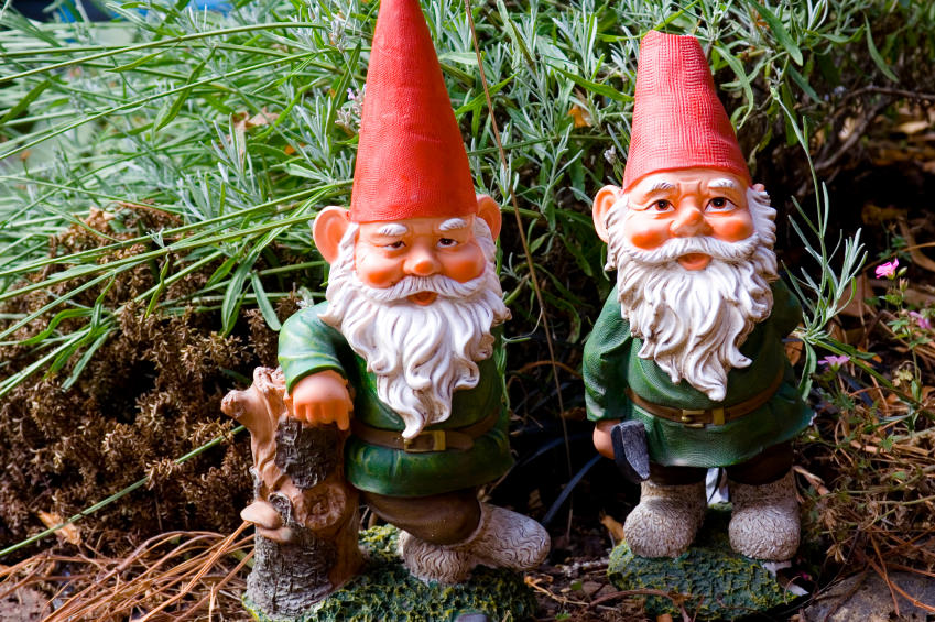 Image of Garden gnomes