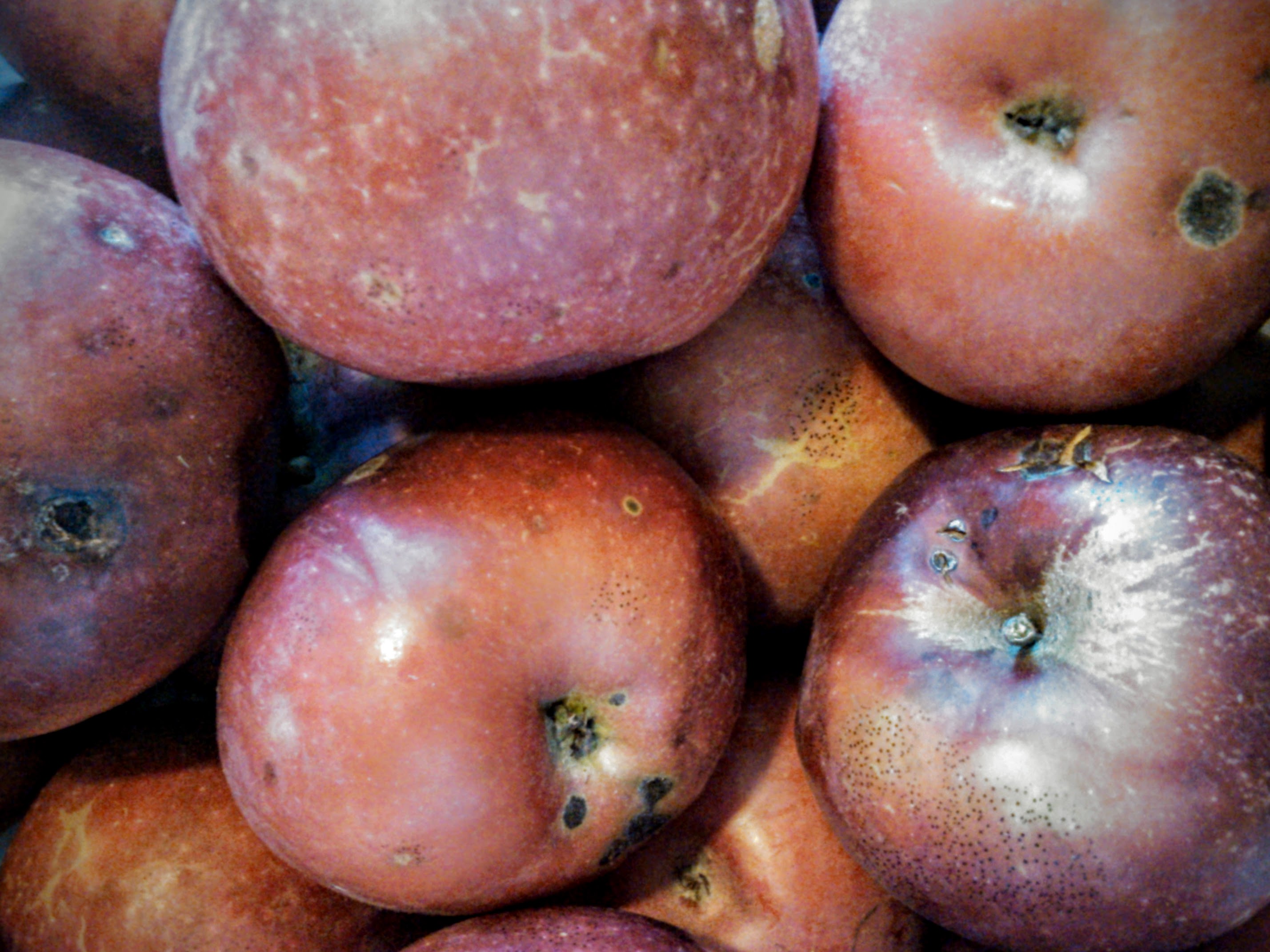 Image of Uglyapple